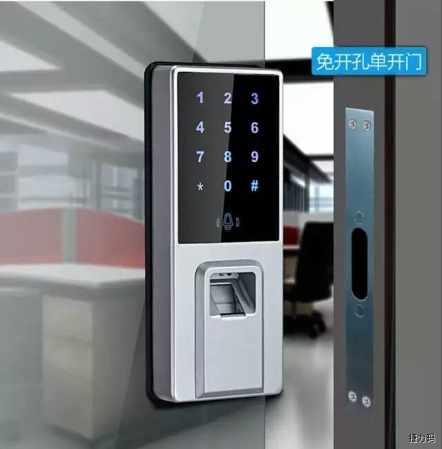 &#23436;&#32654;&#20307;&#32946;